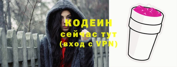 ешки Няндома