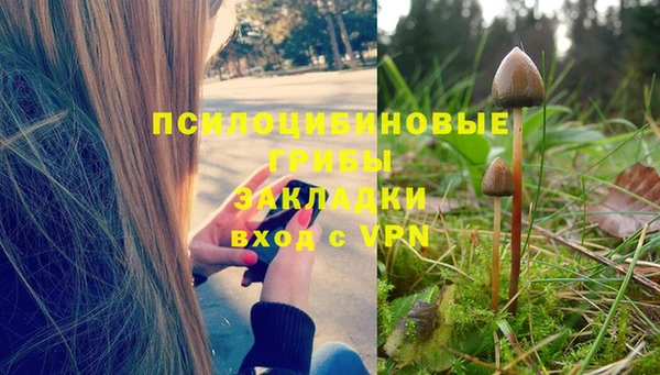 ешки Нязепетровск