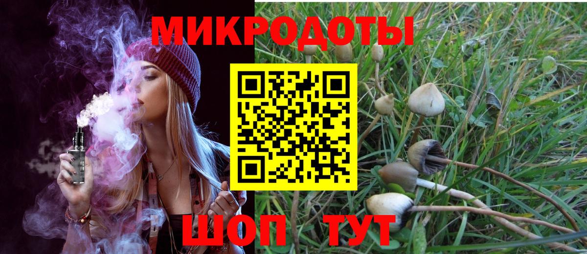Псилоцибиновые грибы Magic Shrooms  Вход с VPN  купить   Лениногорск 