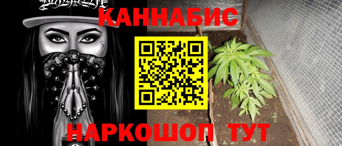 МАРИХУАНА планчик  Каннабис планчик  Бошки Шишки гибрид  Вход с VPN  Лениногорск 
